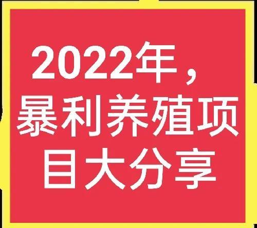 2022年，养殖什么能赚钱？