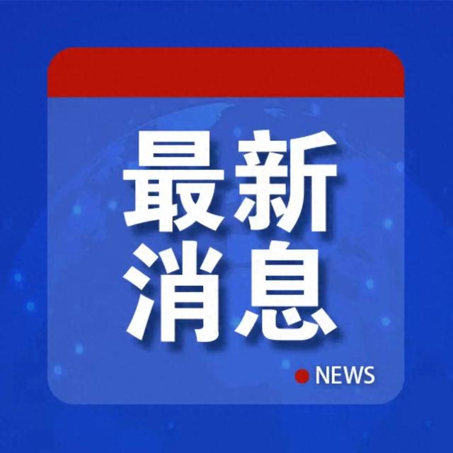 俄军双联高射炮击落乌克兰大型无人机