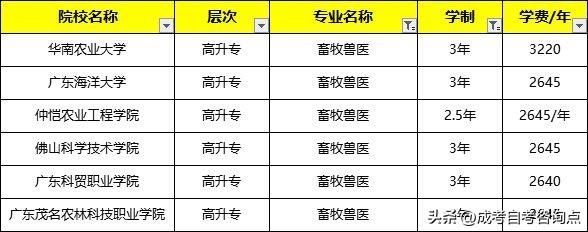 畜牧兽医成人大专专业详解及报考流程指南（含兽医资格证考取路径）